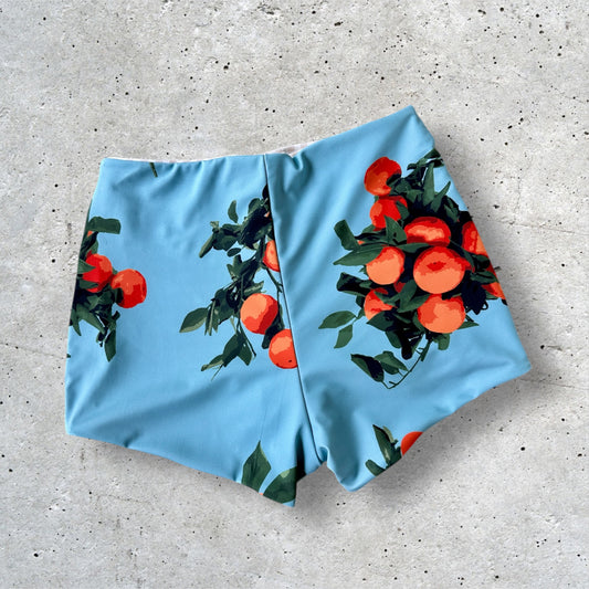 Tangerine x Gingham Swim Shorties